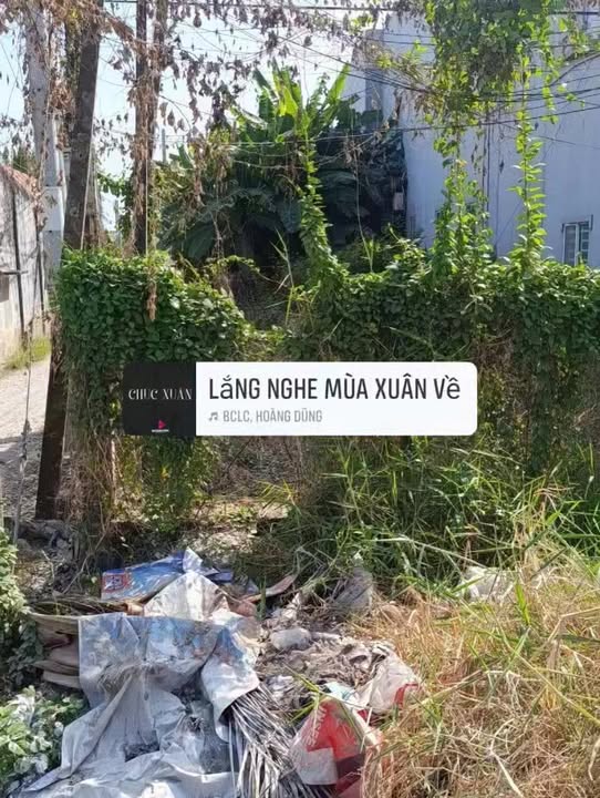 Đất nền Vĩnh Lợi 168m² giá 2.8 tỷ - Mặt tiền quốc lộ, thương lượng ngay!