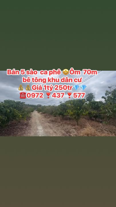 Đất nông nghiệp 5 sào tại Thị trấn Đắk Mâm, giá 1.2 tỷ - Kinh doanh cà phê ổn định!