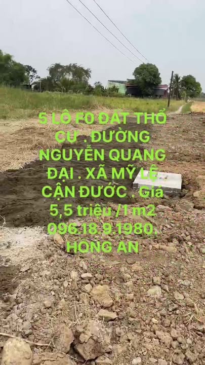 Đất nền sổ đỏ xã Mỹ Lệ, Cần Đước, Long An - Chỉ từ 5.6 triệu/m², thương lượng ngay!