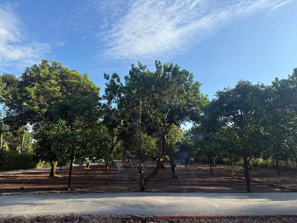 Đất nền Bảo Vinh Long Khánh 120m² giá chỉ 690 triệu - Đầu tư sinh lời ngay!