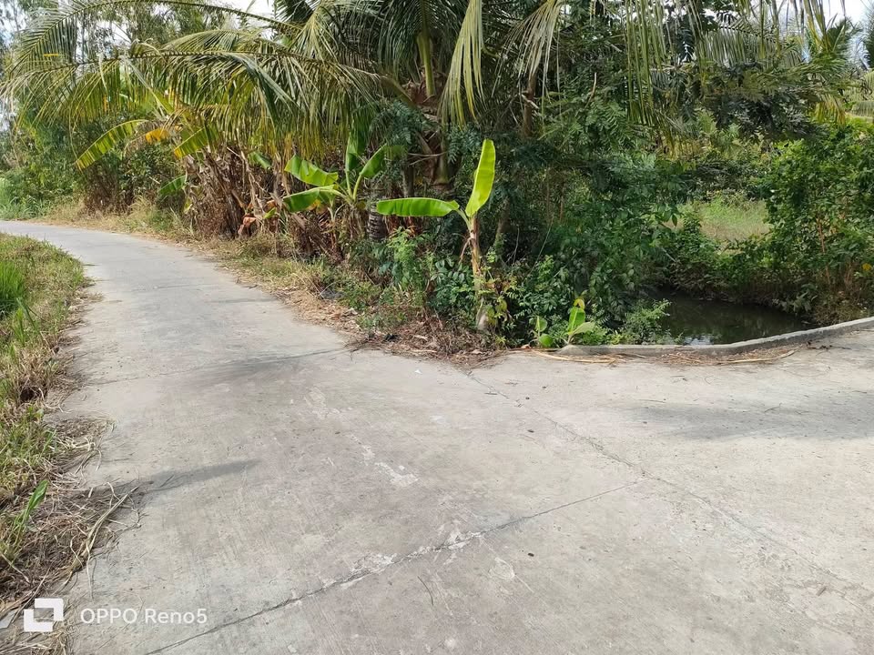 Đất thổ cư 100m² Ấp Thới An, Xã Long Vĩnh, Gò Công Tây giá 200 triệu - Cơ hội đầu tư hấp dẫn!