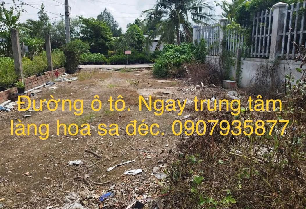 Đất mặt tiền đường ô tô Tân Quy Đông 300m² - Giá đầu tư hấp dẫn!