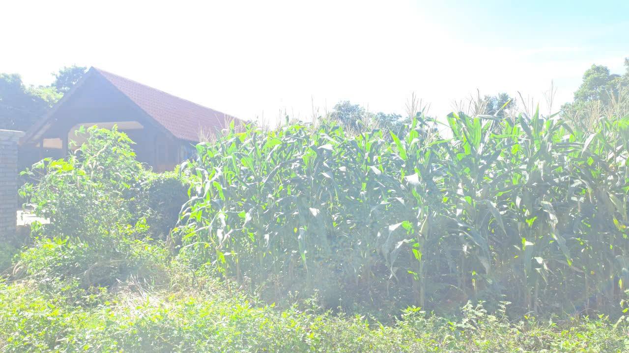 Đất nền 135m² Đường Nguyễn Chí Thanh, Ea Kar - Giá 1.25 tỷ, thương lượng nhẹ!