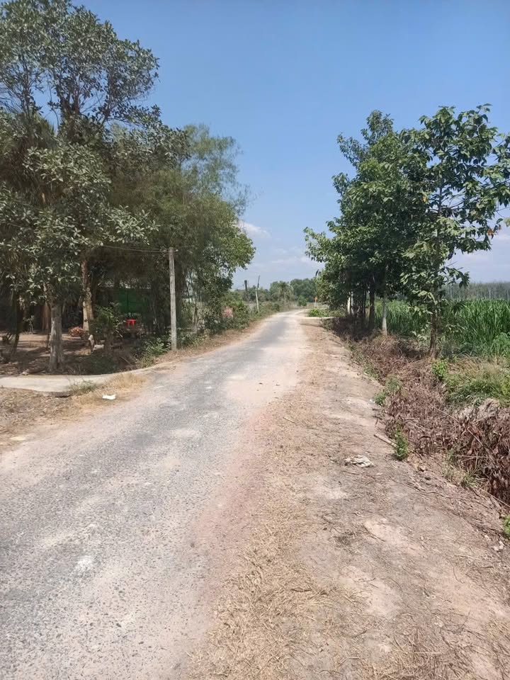 Đất nền mặt tiền đường nhựa Kp xóm Đồng, Phường 10, Quận Gò Vấp - Giá chỉ 400 triệu