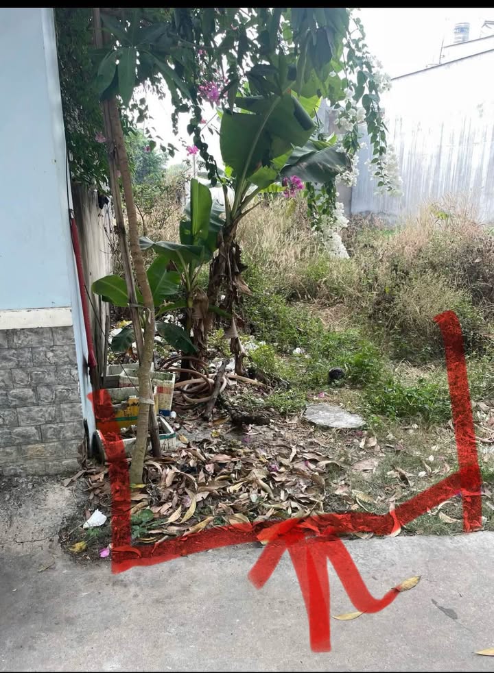 Đất thổ cư Tân Vĩnh Hiệp 100m² giá 1.6 tỷ - Sổ hồng chính chủ, thuận tiện đầu tư!