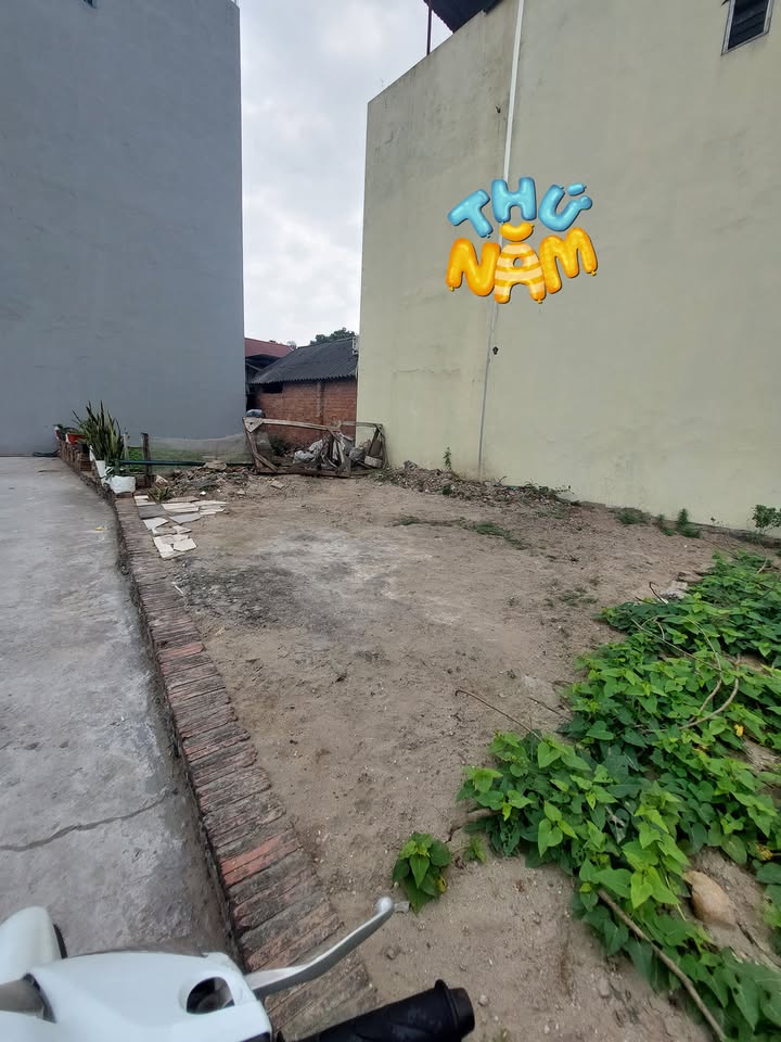 Đất nền Mai Lâm Đông Anh 45m² giá 4 tỷ - Đầu tư sinh lời tuyệt vời!