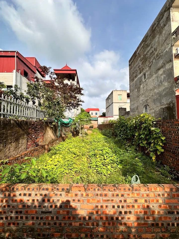 Đất thổ cư 131.3m² tại Tiên Dương, Đông Anh - Sổ đỏ chính chủ, giá chỉ 9.191 tỷ!