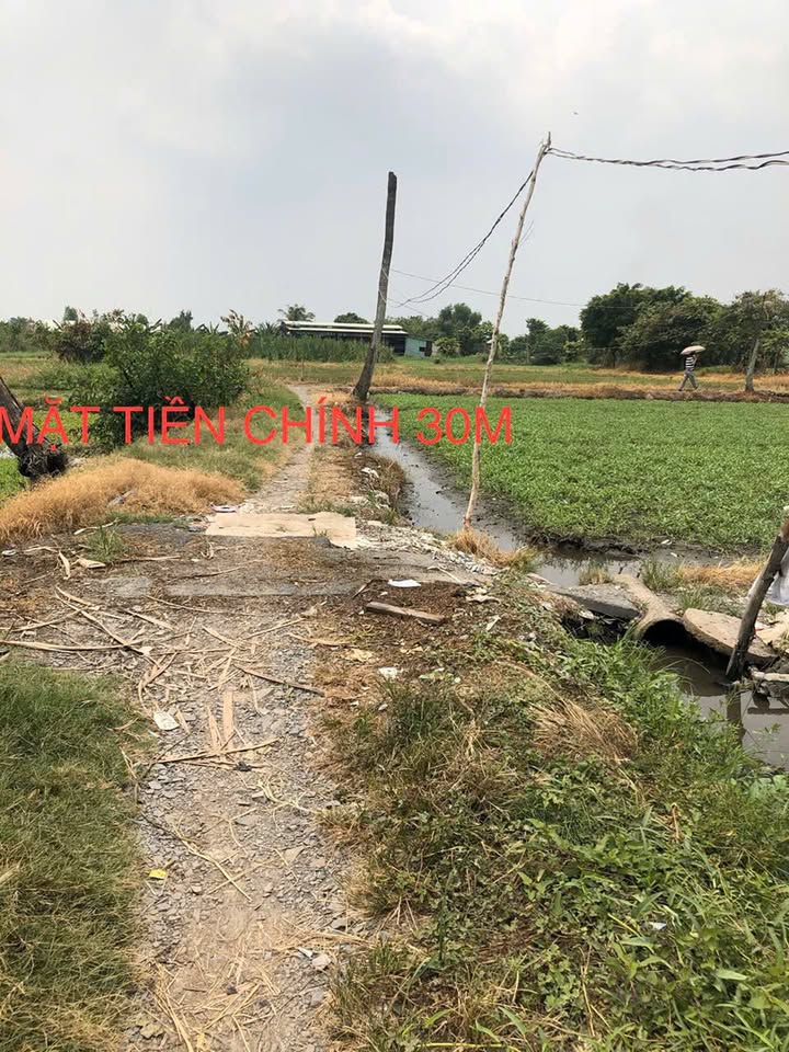 Đất Hóc Môn 2400m² - Sổ Đỏ Rõ Ràng, Vị Trí Đắc Địa