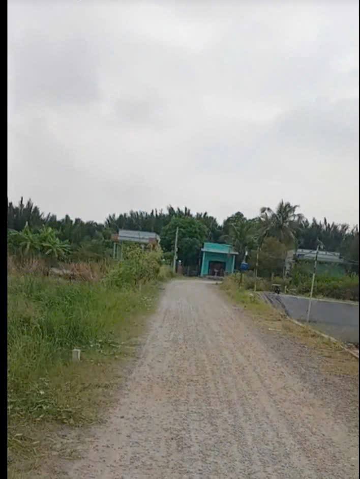 Đất nền thổ cư Cần Đước, Long An 100m² giá chỉ 1,2 tỷ - Đường ô tô rộng rãi!