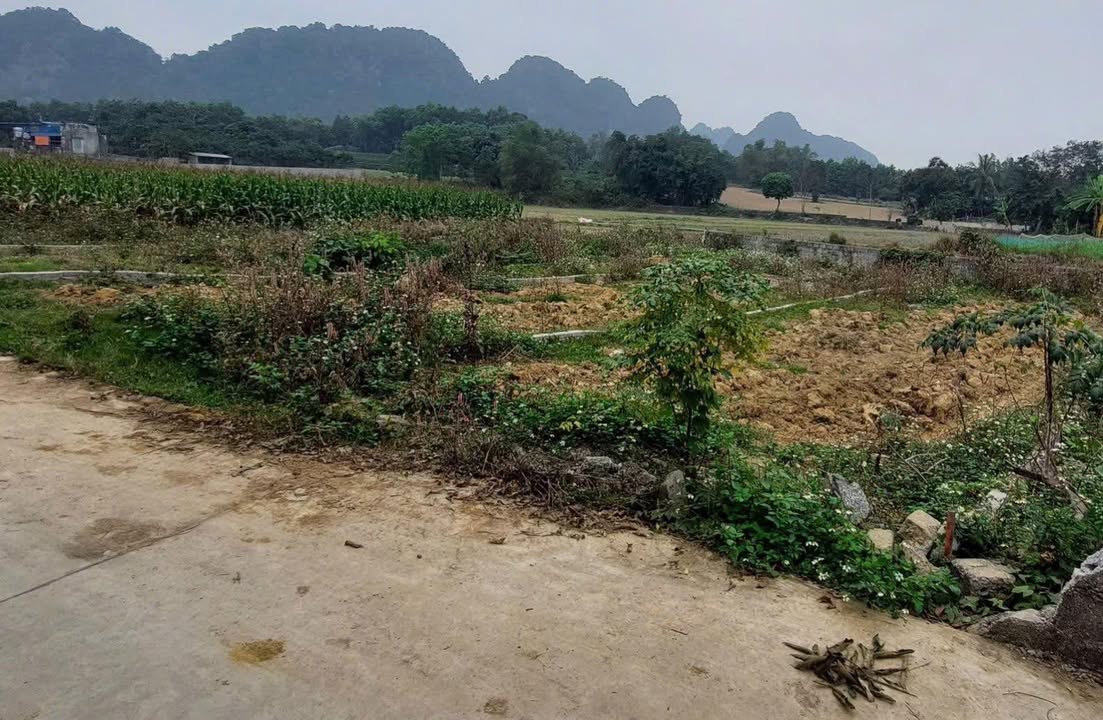 Đất nền 100m² Xã Phú Thành, Huyện Lạc Thủy - Sổ hồng chính chủ, giá tốt!