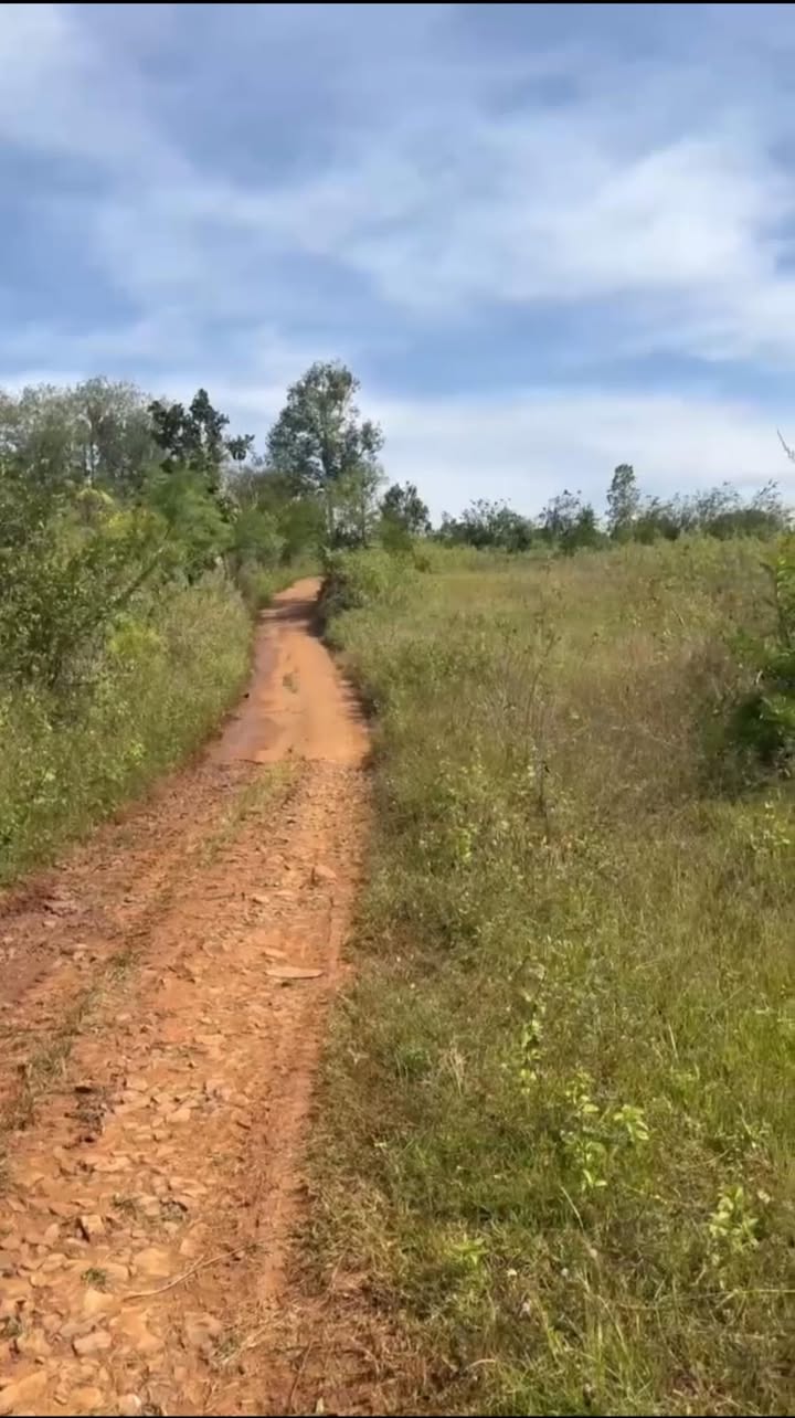 Đất nông nghiệp Cư Mốt 12.000m² giá 850 triệu - Cần bán gấp trong 3 ngày!