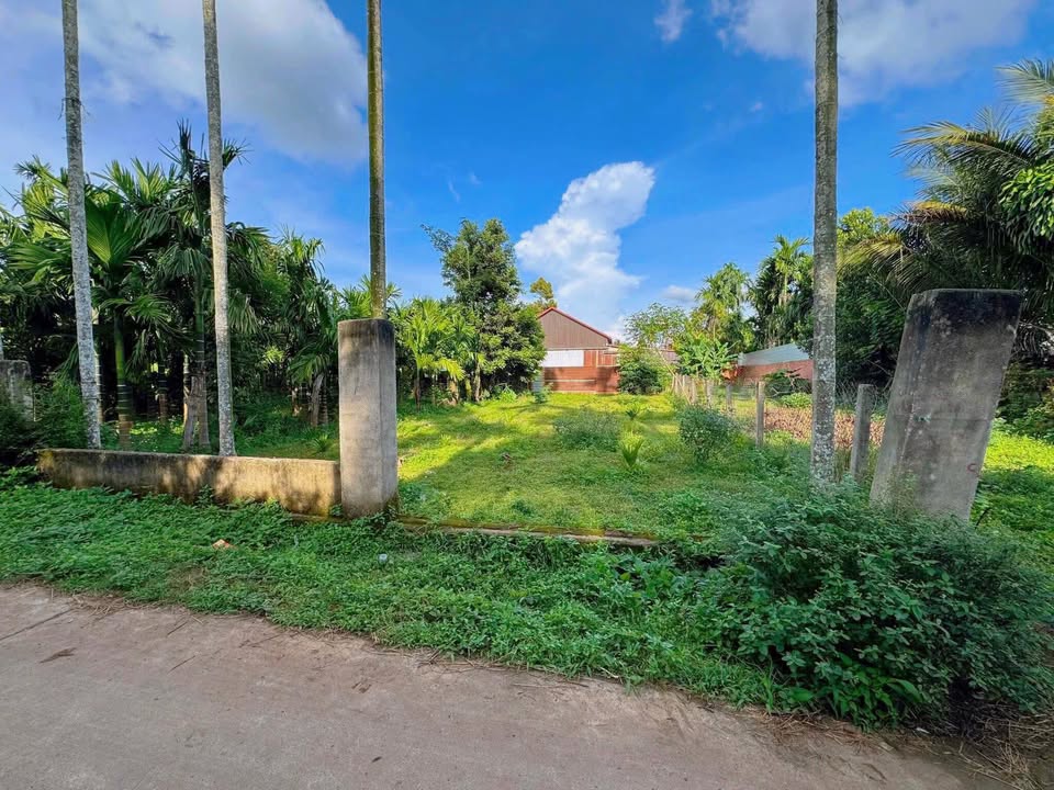 Đất mặt tiền đường bê tông Tân Hoà, Đắk Lắk 270m² giá 1.6 tỷ - Cơ hội đầu tư tuyệt vời!