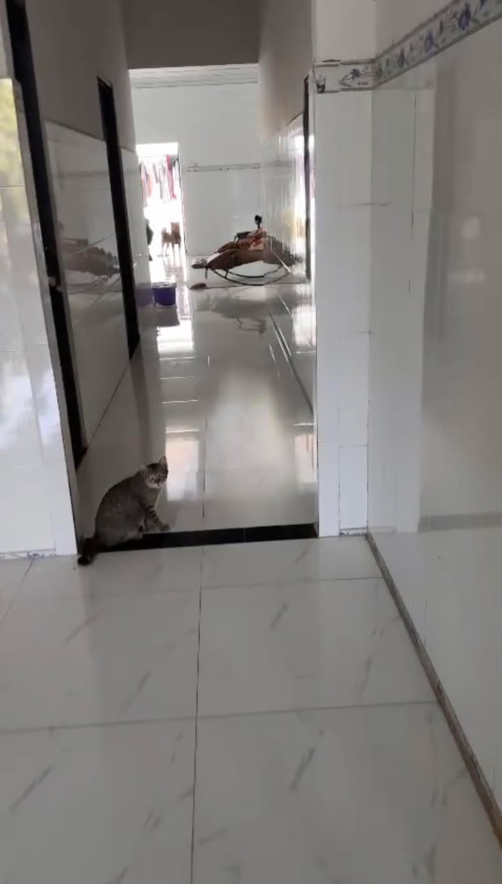 Đất Thổ Cư 700m² Mặt Tiền An Bình, Phú Giáo - Giá 1.25 Tỷ