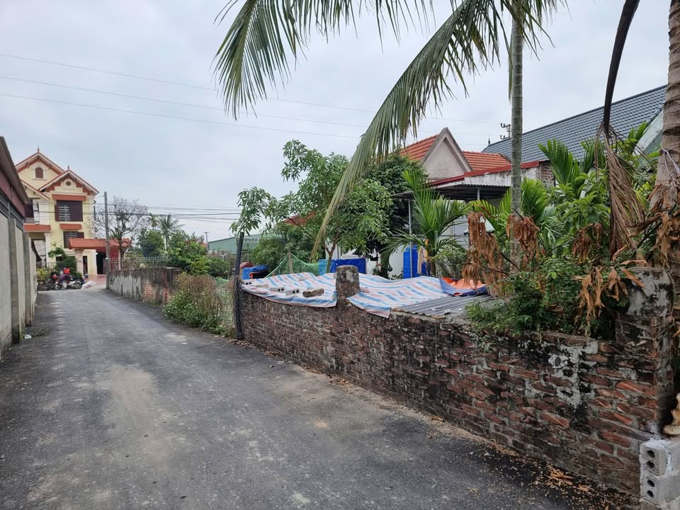 Đất nền 66m² tại TDP Trung Nghĩa, Đồ Sơn chỉ 1,5 tỷ - Đầu tư sinh lời ngay!