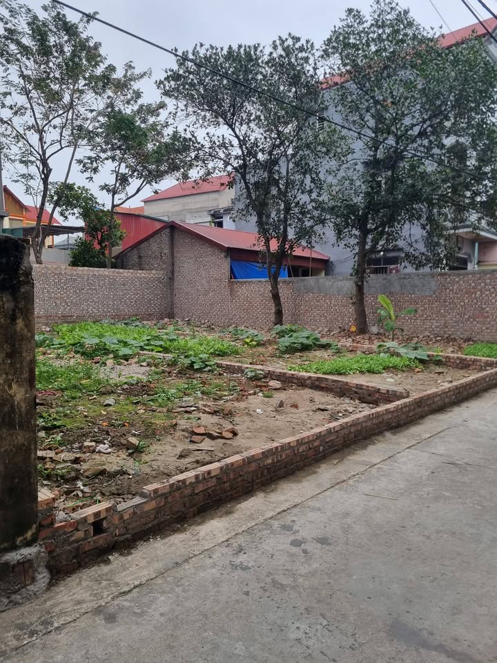 Đất thổ cư Thuận An 58m² giá 1 tỷ - Đầu tư sinh lời ngay!