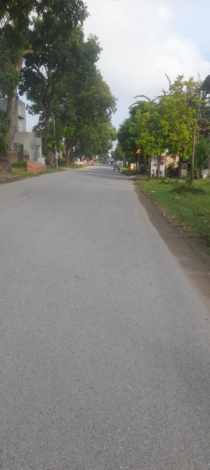 Đất mặt tiền Quốc lộ 32C, xã Thu Cúc, 2000m² - Cần thanh khoản gấp!