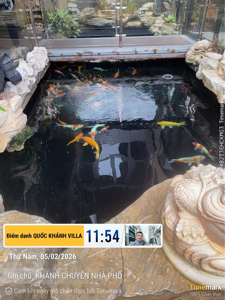 Nhà 4 Tầng 355m² Tân Phú - 17PN, Dòng Tiền 50 Triệu/Tháng - Giá 24 Tỷ