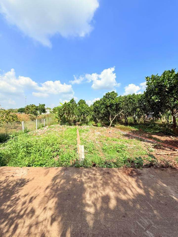 Đất thổ cư Bảo Vinh Long Khánh 105m² giá 870 triệu - Sổ hồng riêng, xây nhà ngay!