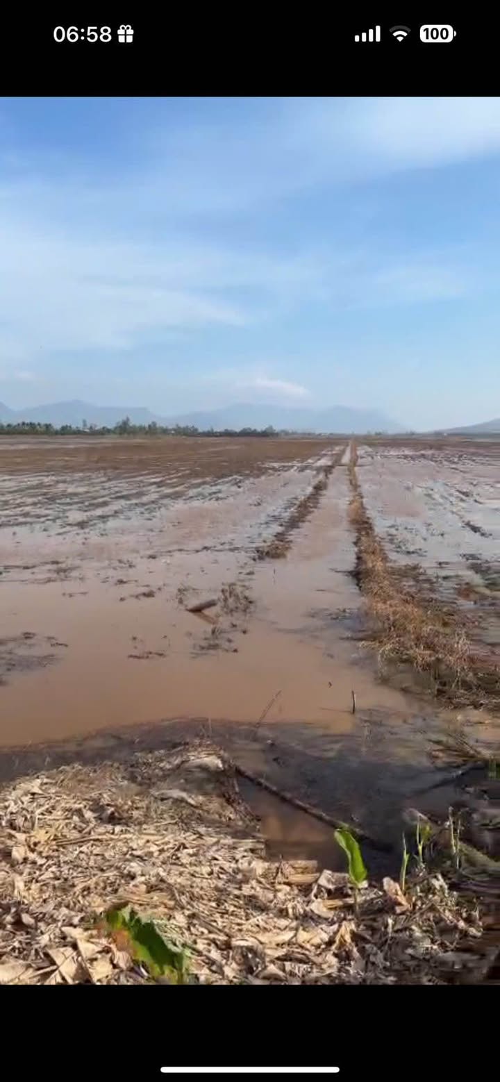 Đất nền Xã Tây Phú, Huyện Thoại Sơn 50,000m² giá chỉ 1xx triệu - Đầu tư sinh lời ngay!