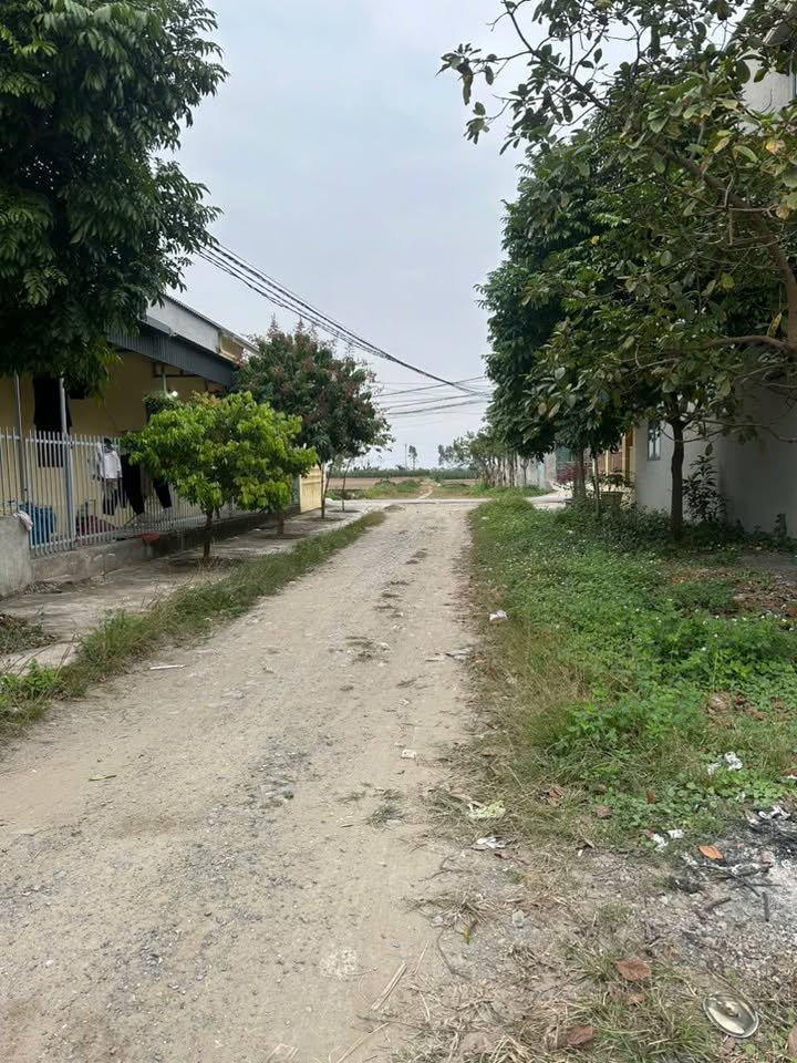 Đất nền khu đấu giá Xã Khánh Mậu 125m² giá thỏa thuận - Cơ hội đầu tư hấp dẫn!