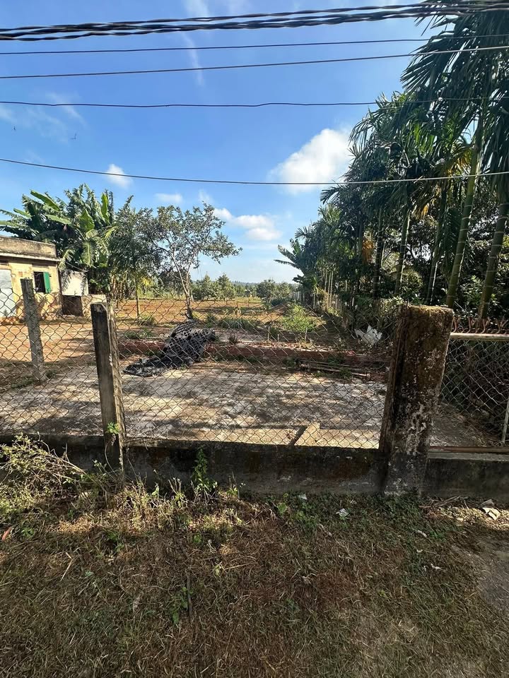 Đất nền 560m² tại Đường QH 18m, Thị Xã Buôn Hồ - Cơ hội đầu tư hấp dẫn!