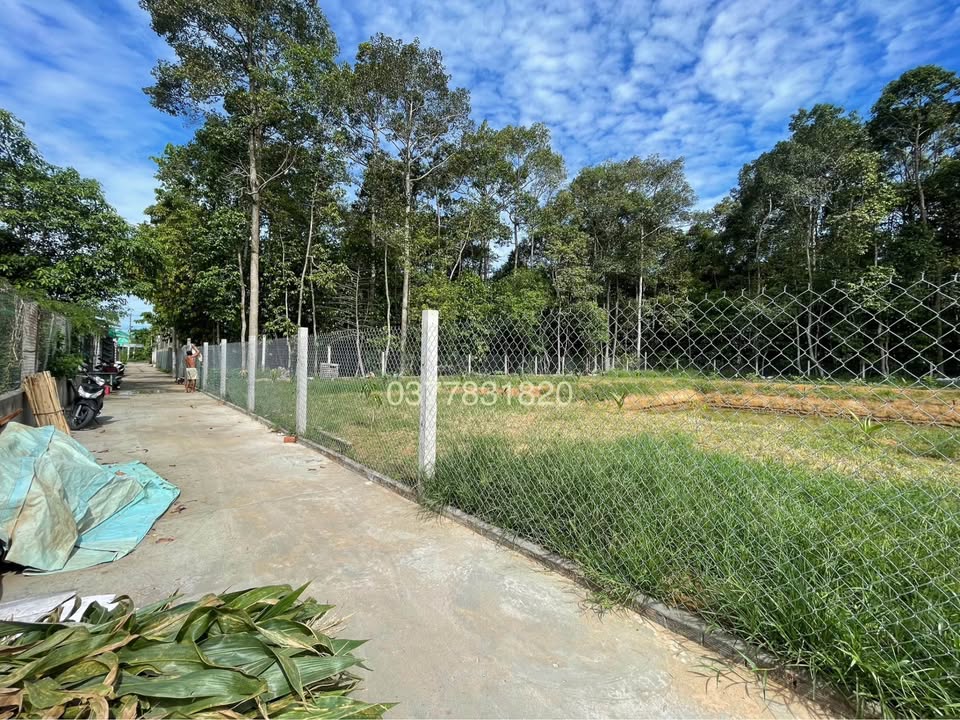 Đất mặt tiền Lê Hồng Phong, Vĩnh Long 1859m² giá 3.5 tỷ - Cơ hội đầu tư tuyệt vời!