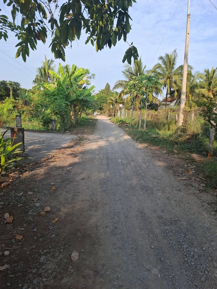 Đất thổ cư 1237m² xã Trung Thành, Vĩnh Long - Đầu tư sinh lời ngay!