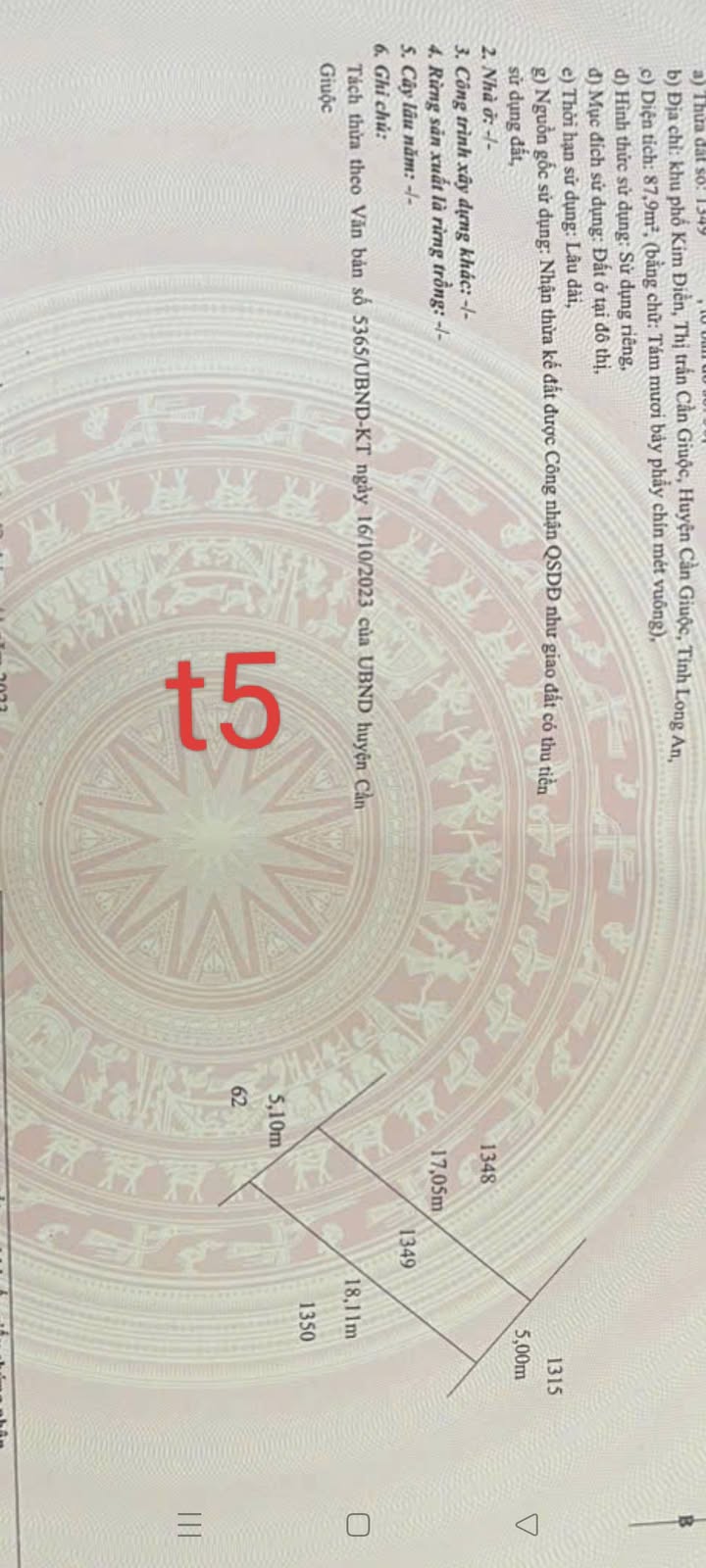 Đất nền thổ cư 87m² tại Tân Tập, Cần Giuộc giá 850 triệu - Bớt lộc cho khách hàng!