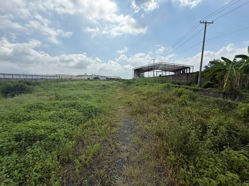 Đất mặt tiền Quốc lộ 62, Xã Tân Đông, 42.700m² - Đầu tư sinh lời ngay!