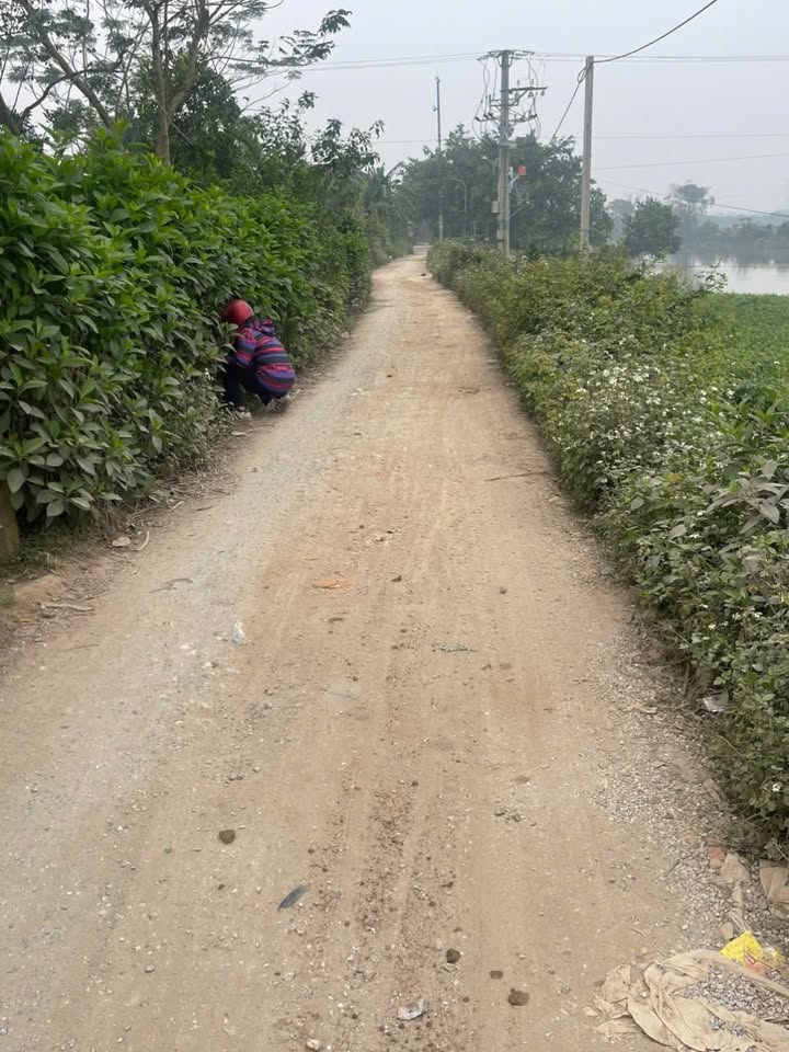 Đất nền Phượng Dực, Phú Xuyên 100m² giá 3 tỷ - Đầu tư tiềm năng!