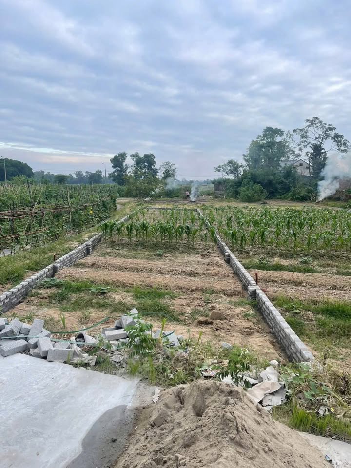 Đất nền khu ĐT Cityhôm Phổ Yên 112m² giá 1 tỷ - Đầu tư ngay!