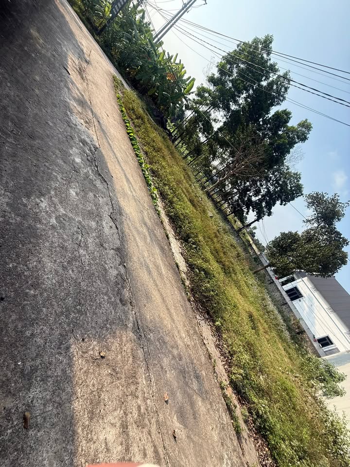 Bán Gấp Đất 119m² Phổ Yên, Thái Nguyên - Gần Trung Tâm, Giá 1 Tỷ