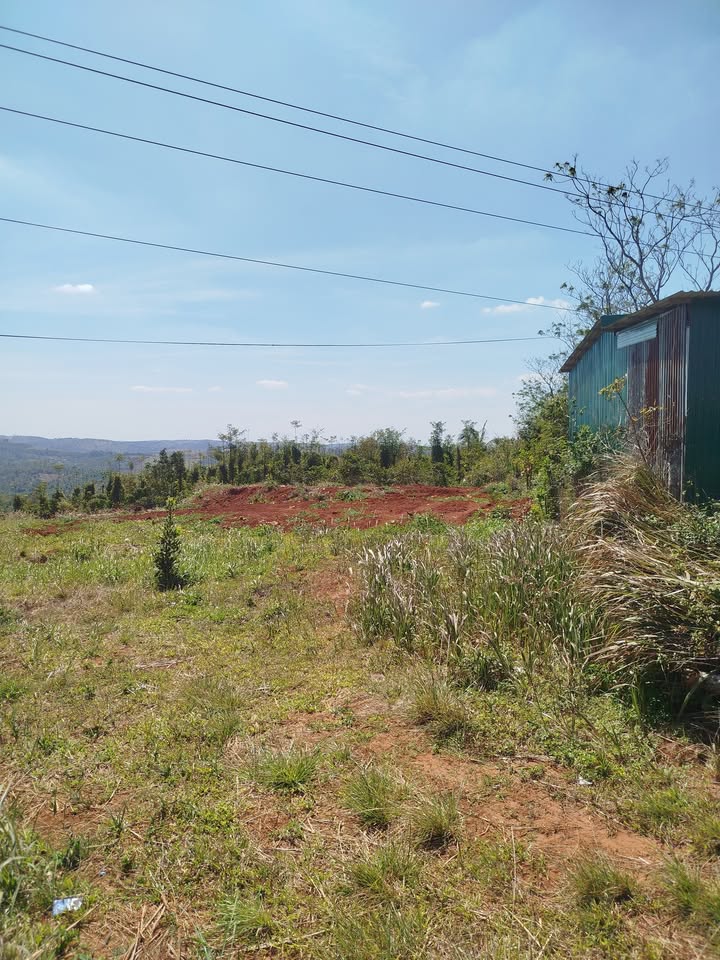 Đất nền Đắk Mil 550m² giá 4.95 tỷ - Cơ hội đầu tư hấp dẫn!