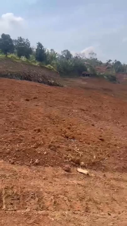 Đất nền Thị trấn Đắk Mil 20.000m² giá 6 tỷ - Cơ hội đầu tư hiếm có!