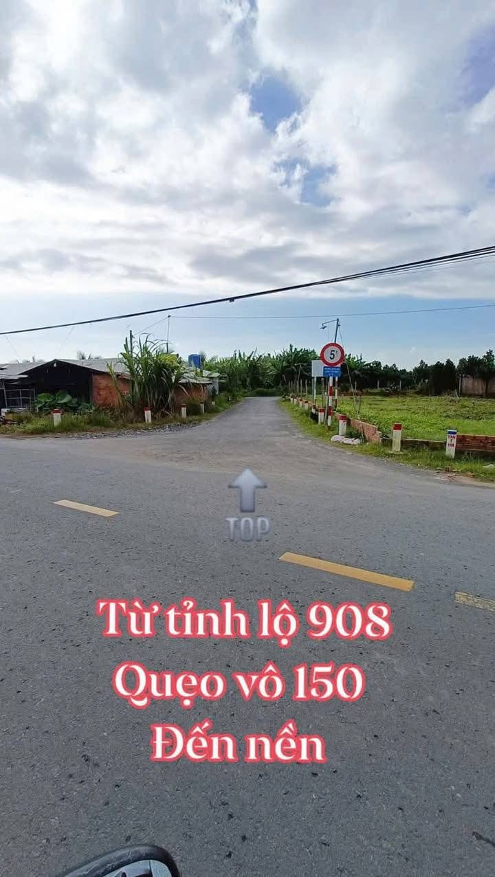 Đất nền xã Tân Lược, huyện Bình Tân, 240m² giá 479 triệu - Đầu tư sinh lời ngay!