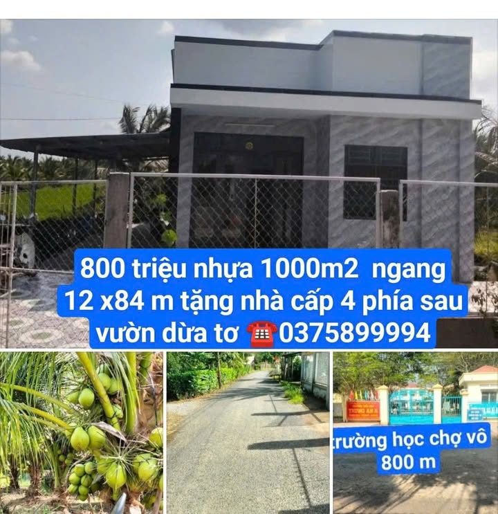 Đất vườn Trung An, Vũng Liêm 1008m² giá 800 triệu - Cơ hội đầu tư hấp dẫn!