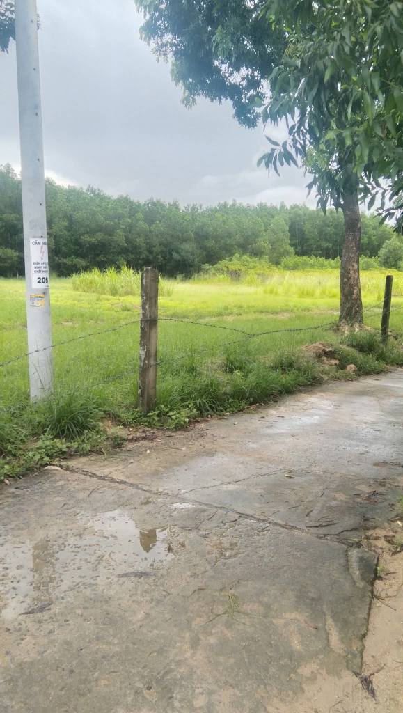 Lô đất vườn xã Phước Thành 1400m² giá chỉ 790 triệu - Tiềm năng phát triển lớn!