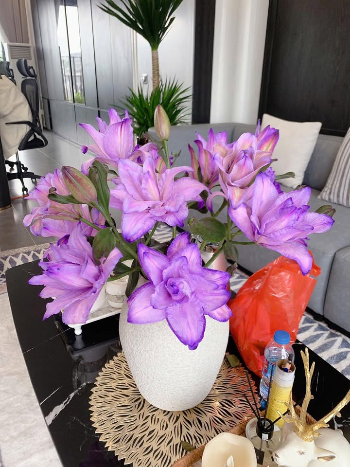 Đất nền Đại lộ Hùng Vương, Sơn Thủy, 166m² giá 10.956 tỷ - Cơ hội đầu tư hấp dẫn!