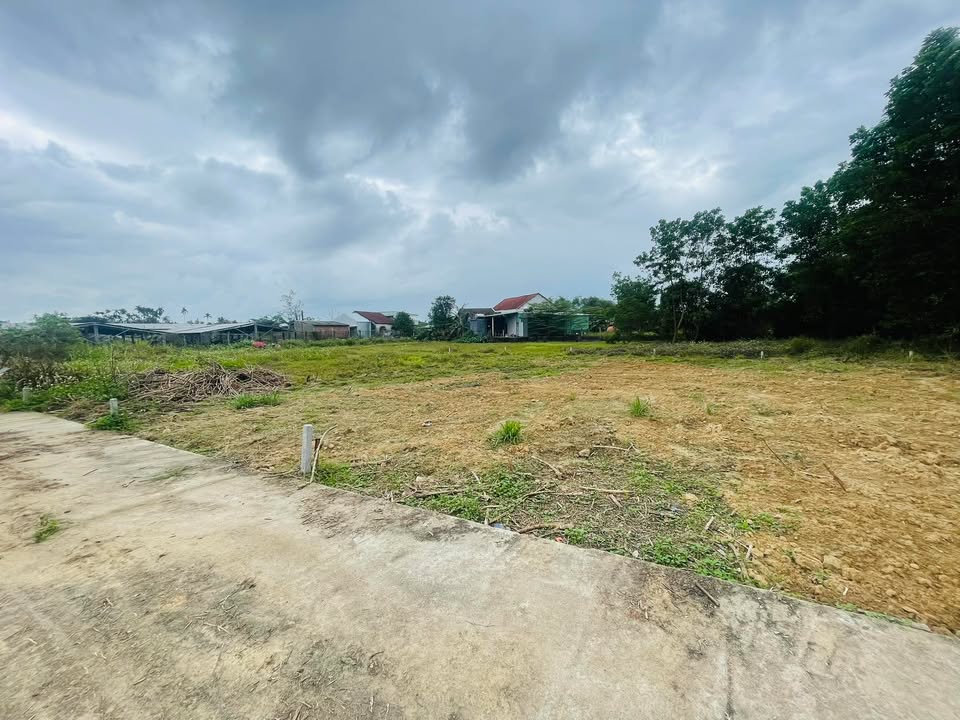 Đất nền xã Hòa Ninh, huyện Hòa Vang, Đà Nẵng 110m² - Giá tốt, đầu tư sinh lời!