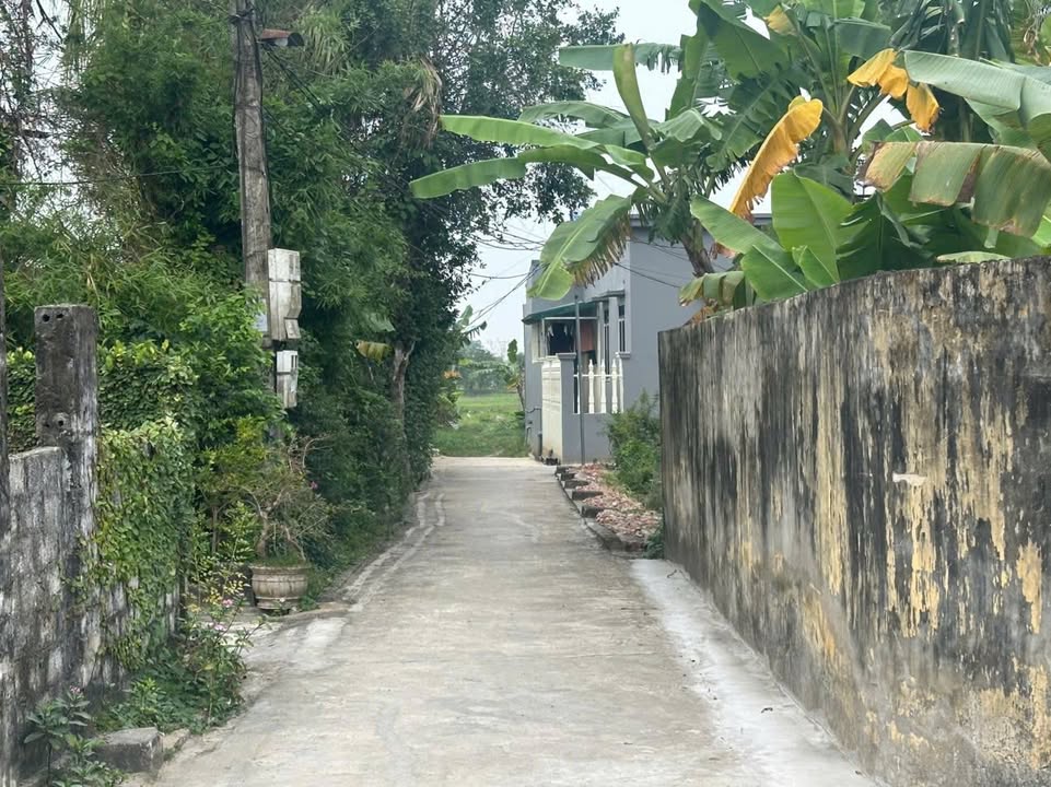 Đất thổ cư 462,7m² tại Thôn Đạt Tài 1, Hoằng Hà - Đầu tư sinh lời ngay!