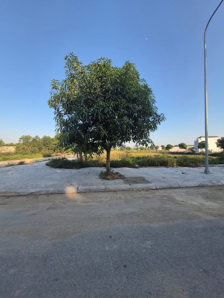 Đất nền Thị trấn Bút Sơn 120m² giá 1.4 tỷ - Gần trường học và đầy đủ tiện ích!