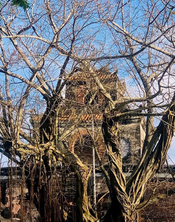 Mặt Tiền Nguyễn Trãi Huế 290m² - Kinh Doanh Đắc Địa