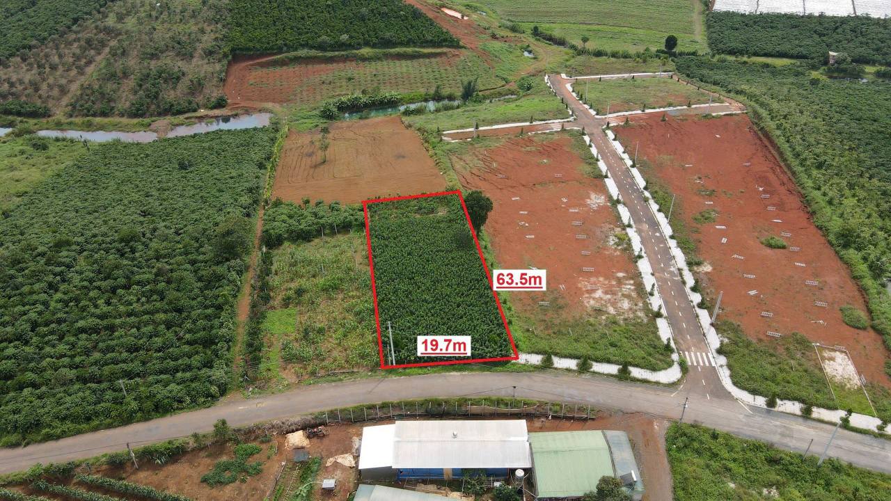 Đất nền 1200m² tại Lộc Quảng, Bảo Lâm - Sổ đỏ chính chủ, giá 1.9 tỷ!