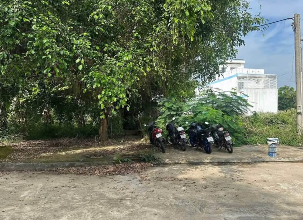 Đất nền KDC Đại Dương, Tân An 100m² giá 1.85 tỷ - Đầu tư sinh lời ngay!