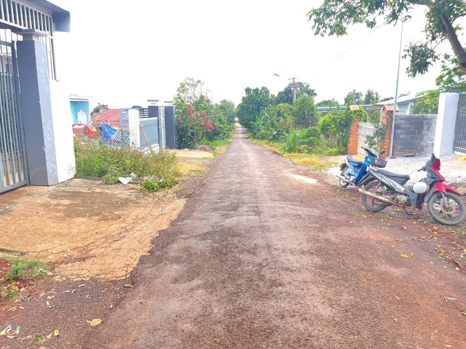 Đất thổ cư Phạm Ngũ Lão 200m² giá chỉ từ 1.28 tỷ - Cơ hội đầu tư hấp dẫn!