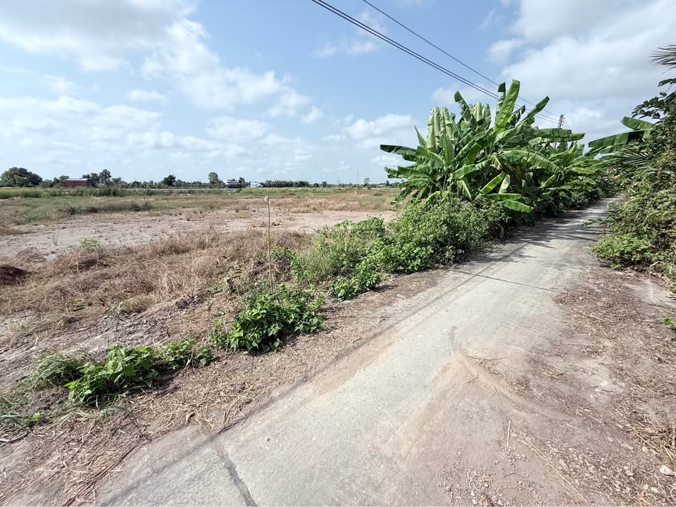 Đất vườn Khóm Giao Vàm, Cà Mau 300m² giá chỉ 300 triệu - Không khí trong lành