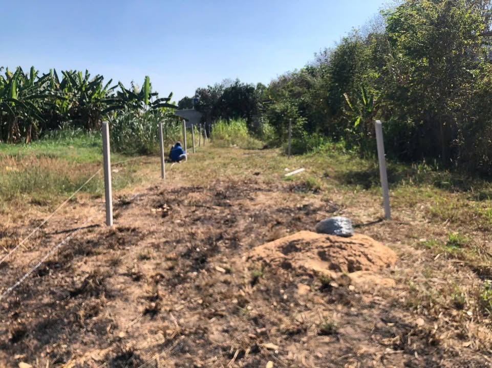 Đất nền mặt tiền đường Bà Thiên Nhuận Đức 243m² giá 2.2 tỷ - Tiềm năng đầu tư lớn!