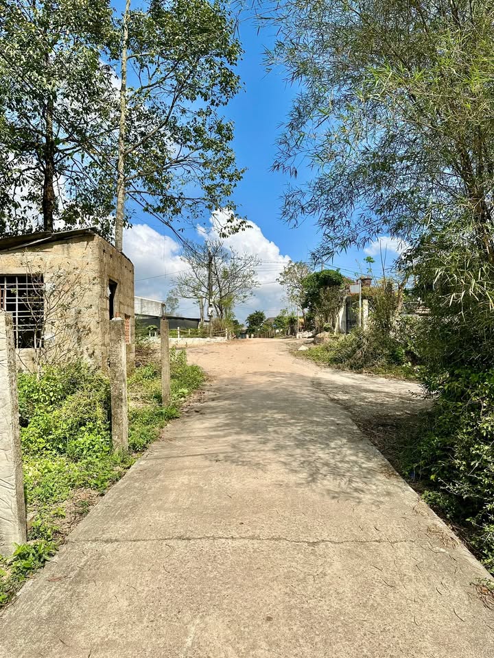 Đất kiệt ô tô Tôn Thất Sơn, Thủy Phương 89m² giá chỉ 550 triệu - Đầu tư thông minh!