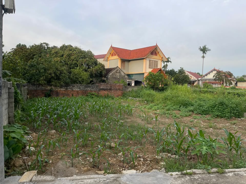 Đất thổ cư thôn Yên Lâm, Yên Sơn, 108m² giá 700 triệu - Đối diện chợ Yên Sơn!