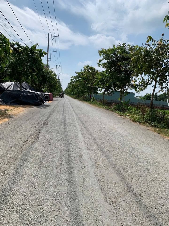 Đất nền mặt tiền đường Trương Thị Như, Hóc Môn 4834m² - Giá tốt đầu tư!